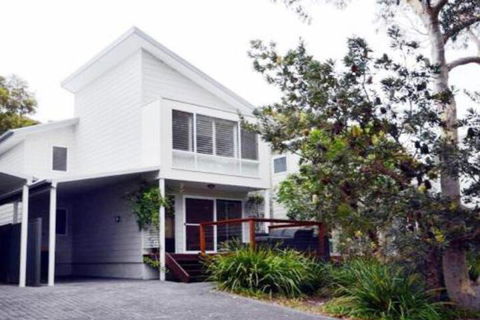 Scribbly Gum On Benton Bushland Setting - Darwin Holiday 0