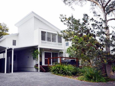 Scribbly Gum On Benton Bushland Setting - Darwin Holiday 3