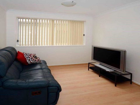 Scribbly Gum On Benton Bushland Setting - Darwin Holiday 2