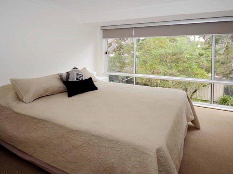 Scribbly Gum On Benton Bushland Setting - Darwin Holiday 5