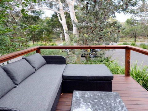 Scribbly Gum On Benton Bushland Setting - Darwin Holiday 4