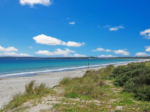 Scribbly Gum On Benton Bushland Setting - Darwin Holiday 6