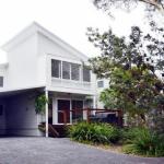 Scribbly Gum On Benton Bushland Setting - Darwin Holiday 1