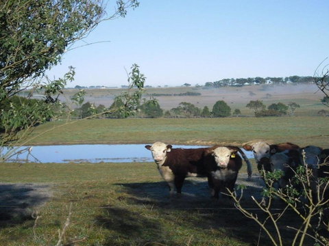 Sutton Downs Renovated Country Home On 100 Acres - Darwin Holiday 7