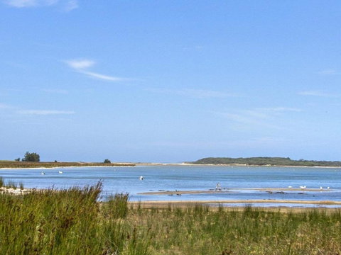 The Batch Funky & Fun - Darwin Holiday 5