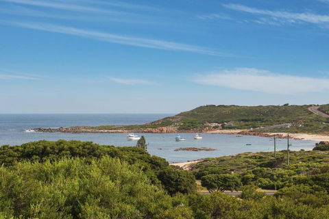 FortyTwo Mini - Darwin Holiday 5