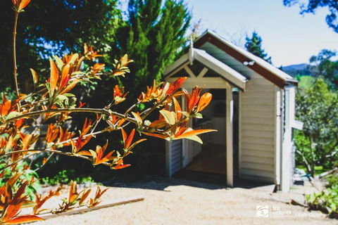 ALSACE HEALESVILLE - Darwin Holiday 2