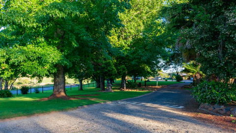 Dorrigo Mountain Holiday Park - Darwin Holiday 1