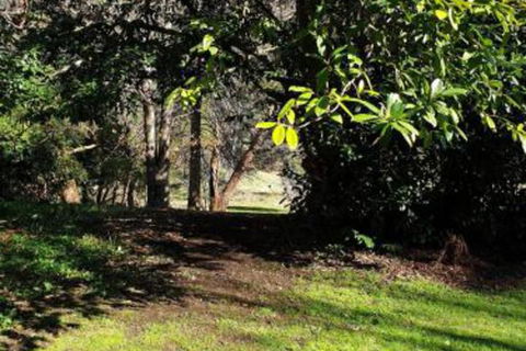 Redruth 2 Bedroom Cottage Situated In Wandiligong - Darwin Holiday 4