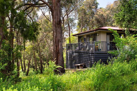 Lardi Lane - Darwin Holiday 1