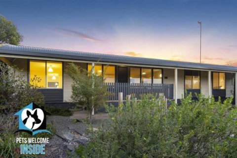 Retro Groovy Pad Pt Elliot - Darwin Holiday 4