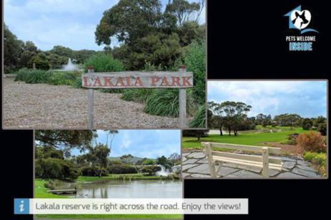 Retro Groovy Pad Pt Elliot - Darwin Holiday 6