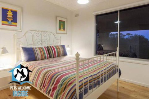 Retro Groovy Pad Pt Elliot - Darwin Holiday 3