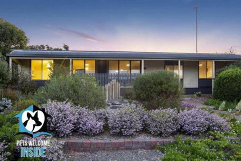 Retro Groovy Pad Pt Elliot - Darwin Holiday 5