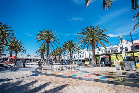 Blackbird At Arlos The Heart Of Glenelg Wifi - Darwin Holiday 4