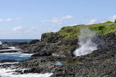 Seaview On Boanyo Ocean Views & Close To Beach - Darwin Holiday 5