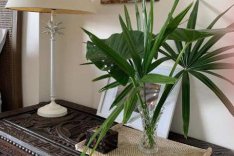 Mullaway Beach Holiday Cabins - Darwin Holiday 3