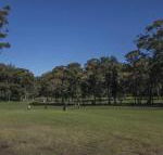 Championship Golf Course on your Back Door - Darwin Holiday