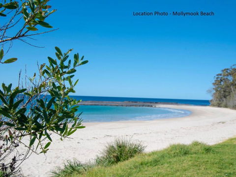 Tallwood Ave 77 Mollymook - Darwin Holiday 3