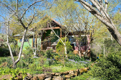 Hills End Iris - Darwin Holiday 1