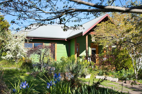 Hills End Iris - Darwin Holiday 0