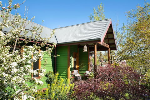 Hills End Iris - Darwin Holiday 2