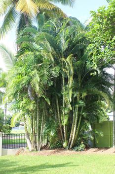 Yamacutta House - Darwin Holiday 1