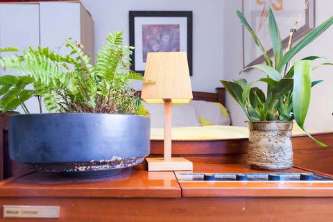 Beautiful Lush & Green Oasis Studio Apartment - Darwin Holiday 6