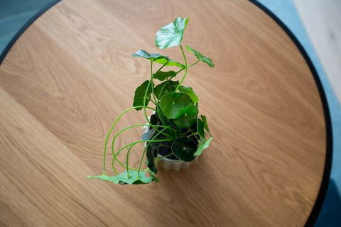 Comfy And Warm Apartment In Parkville - Darwin Holiday 7