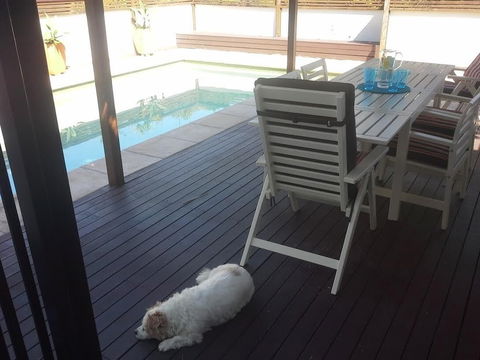 Minutes Walk To Peregian Beach & Surf! Unit 1 / 28 Pelican Street - Darwin Holiday 1