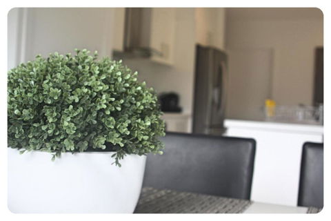 The Shae Luka Private Apartment - Darwin Holiday 5