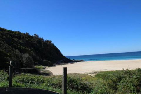 Mimosa - Darwin Holiday 0