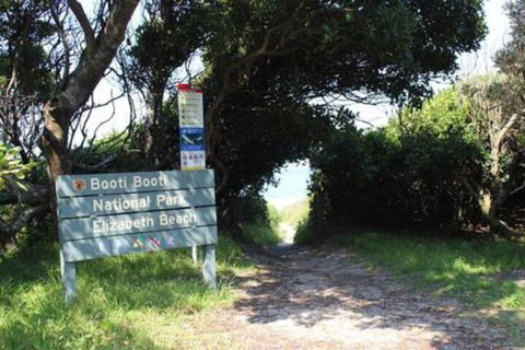 Mimosa - Darwin Holiday 3