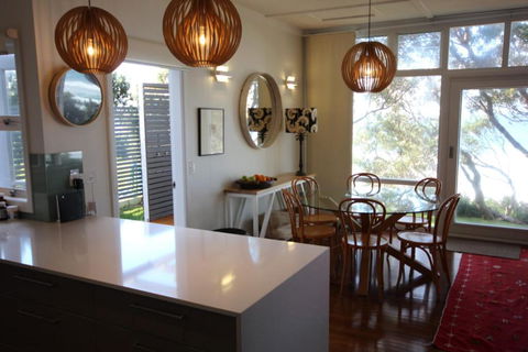 SEA URCHIN - Darwin Holiday 4