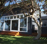 SEA URCHIN - Darwin Holiday