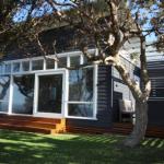 SEA URCHIN - Darwin Holiday 1