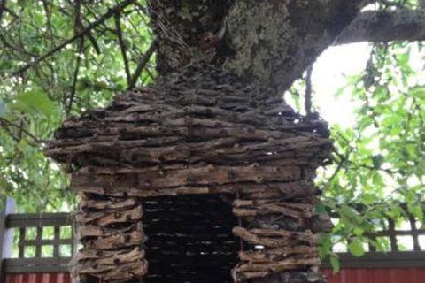 Daydream Cottage - Darwin Holiday 6