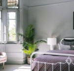 St.Etienne Daylesford - Darwin Holiday