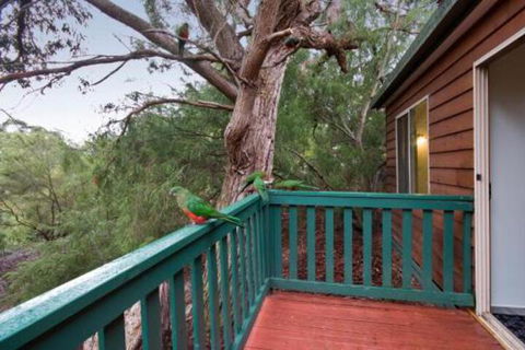 Hidden Valley Cabins - Darwin Holiday 6
