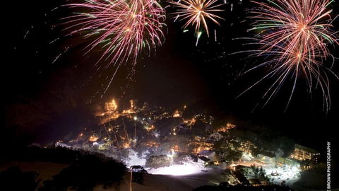 East 302 St. Falls - Darwin Holiday 6