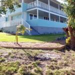 Bluebell - Darwin Holiday 0