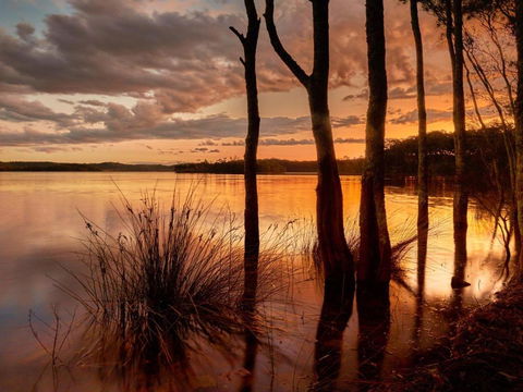 Banksia - Darwin Holiday 3