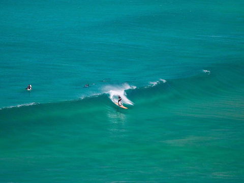 Banksia - Darwin Holiday 4