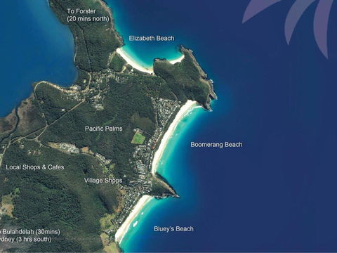 Picture Perfect Lizzie Palms 2 - Darwin Holiday 6