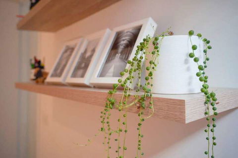 Trendy Modern 2BD Apartment Close To Beach & City - Darwin Holiday 3