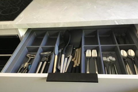 Blue Jay - Darwin Holiday 6