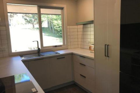 Blue Jay - Darwin Holiday 7