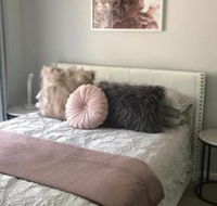 Blue Jay - Darwin Holiday