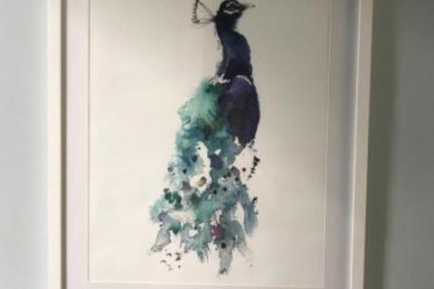 Blue Jay - Darwin Holiday 5