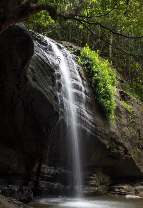 Coolum Classic Beach Shack Pet Friendly - Darwin Holiday 1